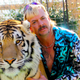 Illustration for article titled Pulitzer-worthy journalist answers the internets burning iTiger King/i questions